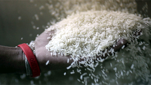 Xuất khẩu gạo
